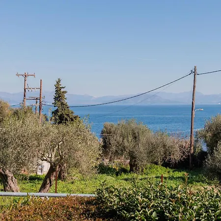 Achilleion Holiday Home